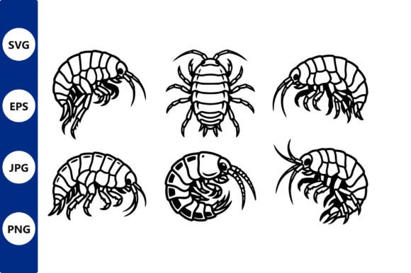 Crustacean Vector Silhouettes Shrimp Review