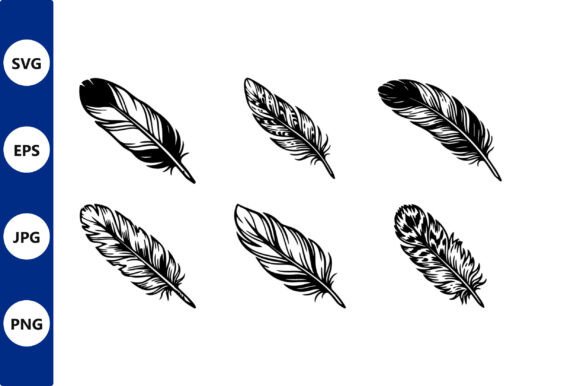 Feather Vector Set: Graphics & Illustrations Review