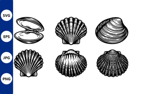 Shells Set Vector Line Art: Graphics & Illustrations Review