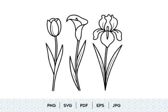Tulip Calla Lily Iris SVG Set: Graphics & Illustrations